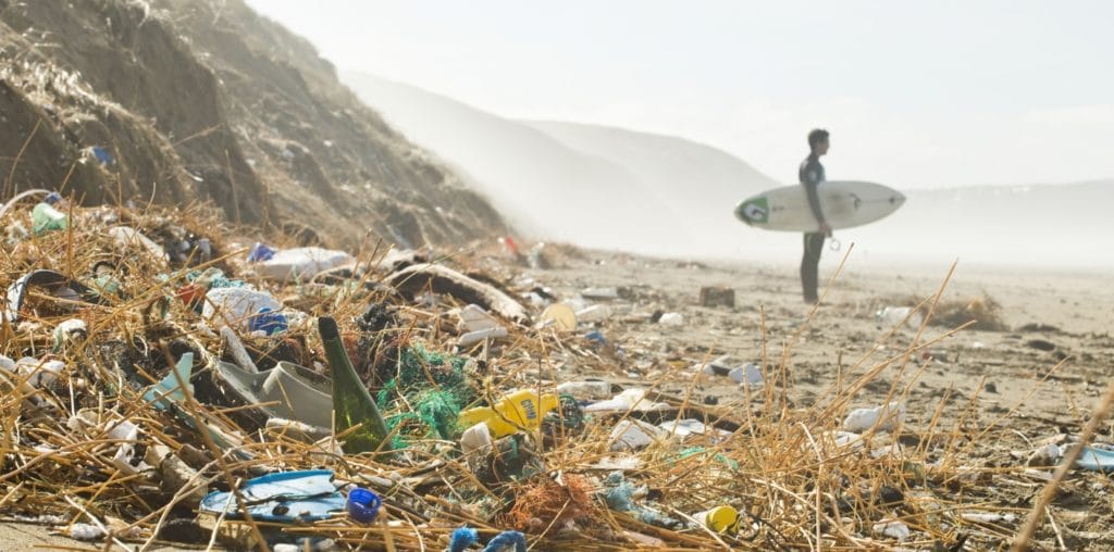 surfers_against_sewage beach clean