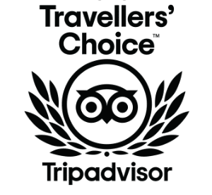 trip advisor reviews surfing croyde bay