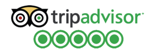 trip advisor surf lesson and coasteering reviews